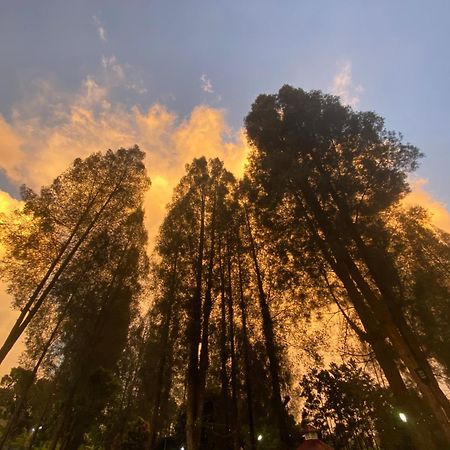 Sibayak Multinational Rest House Berastagi Bagian luar foto